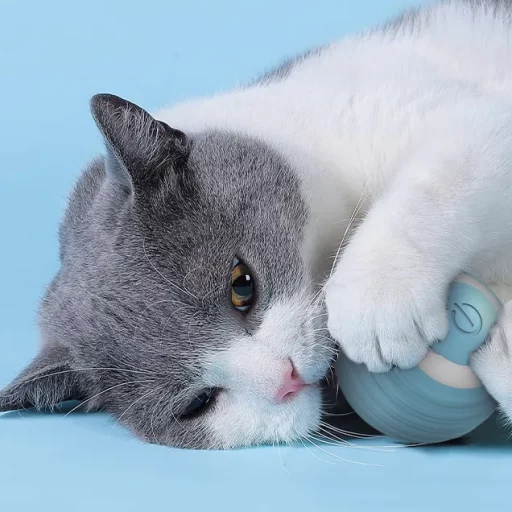 2 szt. Interaktywna piłka dla kota kryty automatyczne toczenie magiczna kula inteligentne zabawki dla kotów elektroniczna interaktywna zabawka dla kota akcesoria do gier dla kotów 21