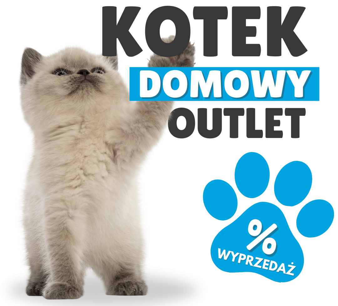 kotek domowy - zabawki dl akota